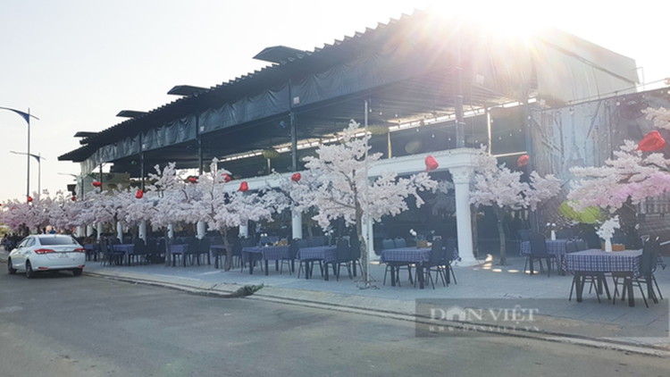 Can Tho: Can canh nha hang San Bay rong 1000m2 xay tren dat lua-Hinh-9