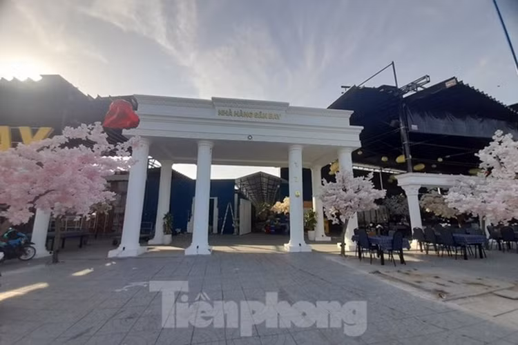 Can Tho: Can canh nha hang San Bay rong 1000m2 xay tren dat lua-Hinh-12