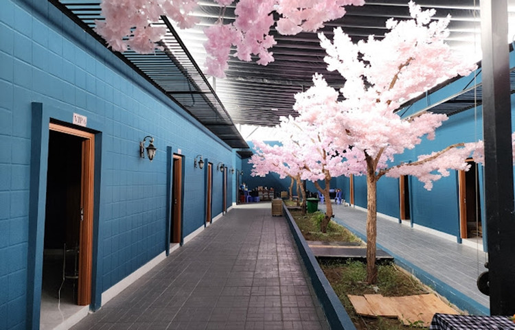 Can Tho: Can canh nha hang San Bay rong 1000m2 xay tren dat lua-Hinh-4