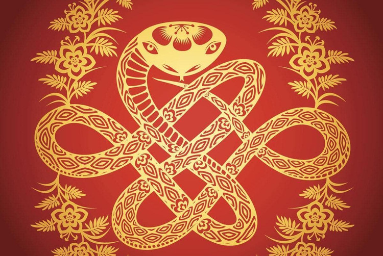 Dung mung 1 Tet Giap Thin: 4 tuoi loc roi trung cua, phat nhu Rong-Hinh-3