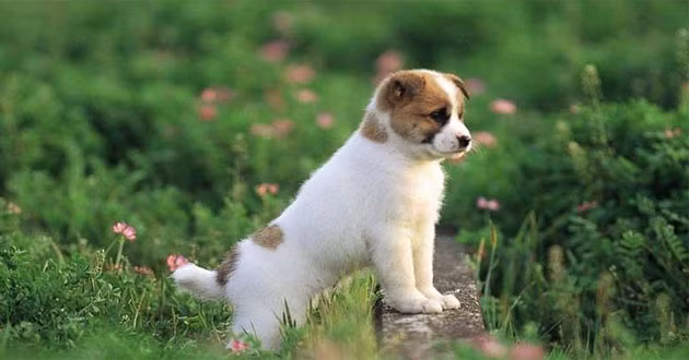 10 ngày tới (1/2 - 10/2/2024): 4 tuổi hứng bão tài lộc, thăng tiến vù vù - Hình 10 10 ngay toi (1/2 - 10/2/2024): 4 tuoi hung bao tai loc, thang tien vu vu-Hinh-10