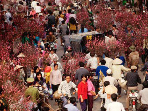 Ngam loat anh quy nhu vang ve Viet Nam thoi bao cap