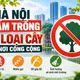 [INFOGRAPHIC] Danh sách 18 loại cây Hà Nội cấm trồng tại nơi công cộng
