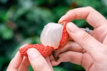 Không phải cứ là đường tự nhiên thì ăn bao nhiêu cũng được
