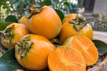 Hồng da tre Thái Nguyên gần cuối mùa, giá cao ngất vẫn cháy hàng
