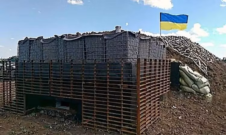 10-8180.jpg