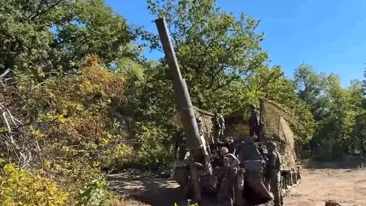 8-9531.jpg