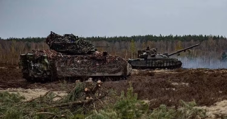 2-8451.jpg