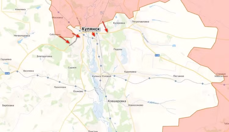 13-7831.jpg