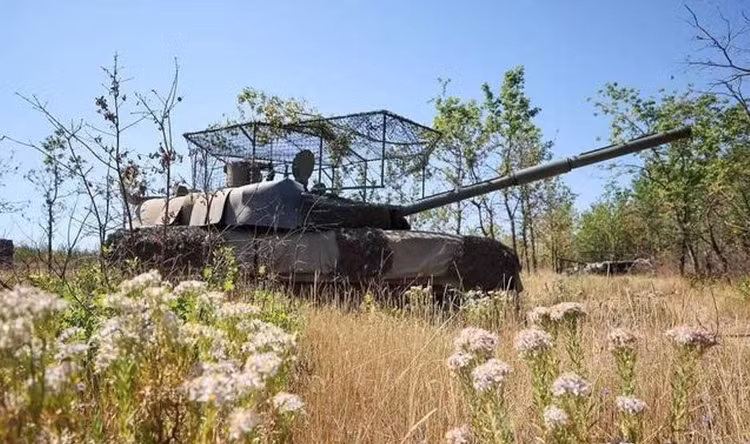 2-2894.jpg