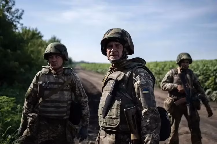 az-4.jpg