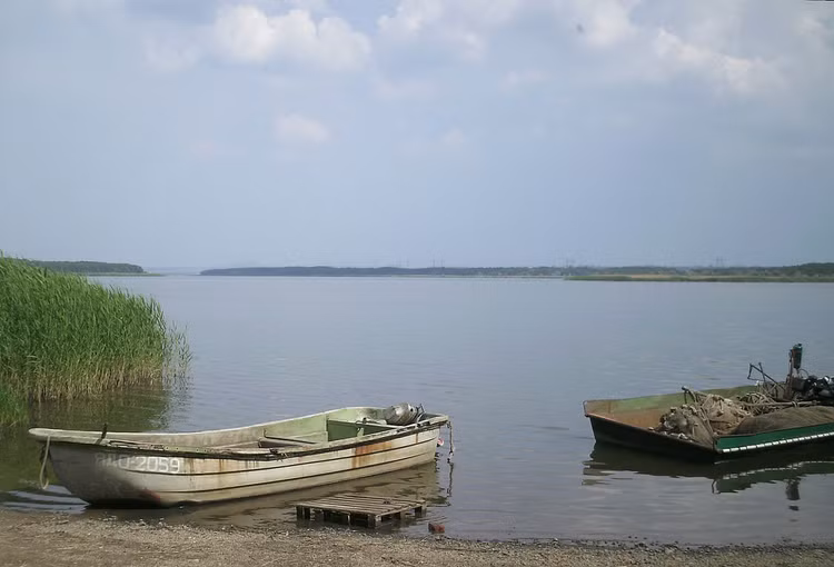 8-6685.jpg