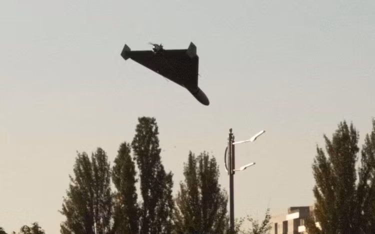 7-8008.jpg