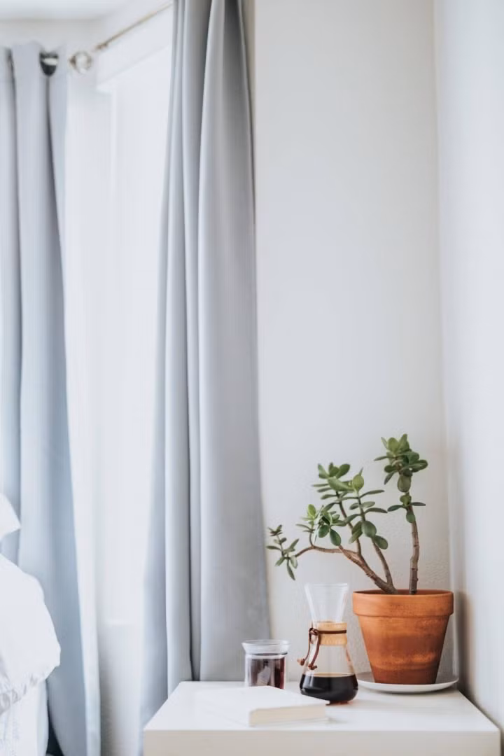 Cây ngọc bích là một loại cây mọng nước, làm nổi bật phòng ngủ với những chiếc lá dày và căng tràn sức sống. Ngoài tác dụng thanh lọc không khí và tăng độ ẩm, loài cây này còn tượng trưng cho sự may mắn - Ảnh: internet. Cây ngọc bích là một loại cây mọng nước, làm nổi bật phòng ngủ với những chiếc lá dày và căng tràn sức sống. Ngoài tác dụng thanh lọc không khí và tăng độ ẩm, loài cây này còn tượng trưng cho sự may mắn - Ảnh: internet.