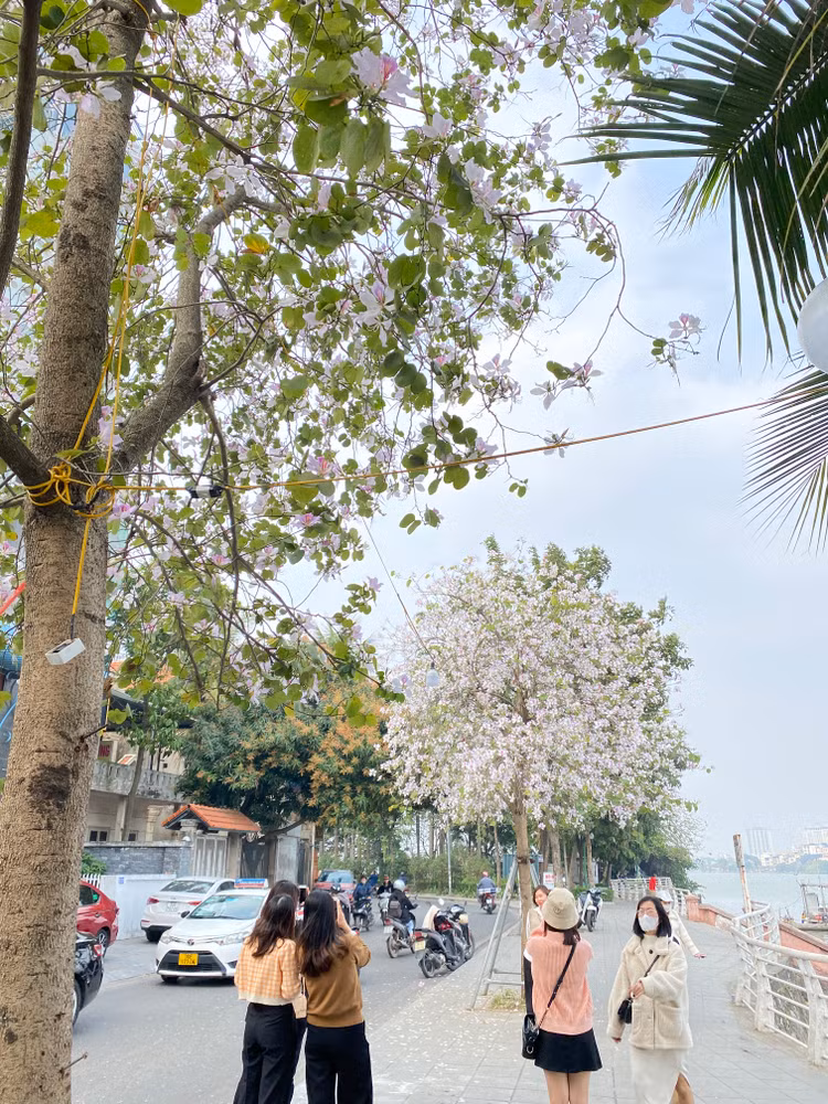 Khu vực này thu hút nhiều bạn trẻ đến chụp ảnh check-in.