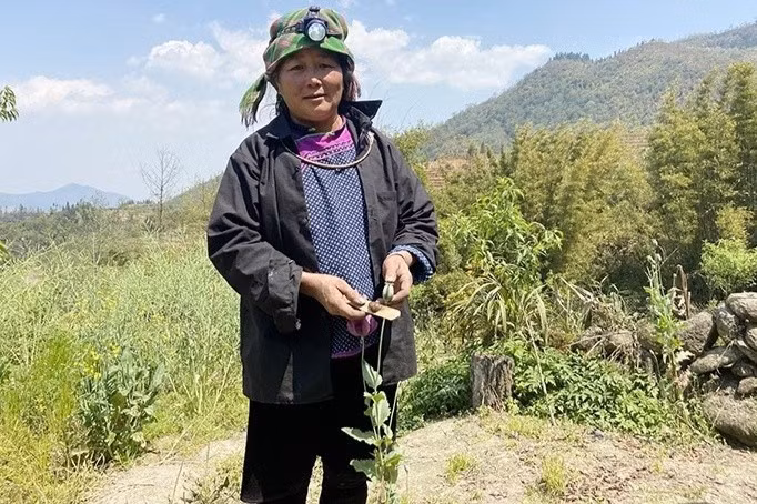 Nghi phạm Má Thị Phính. Ảnh: Công an Lào Cai.