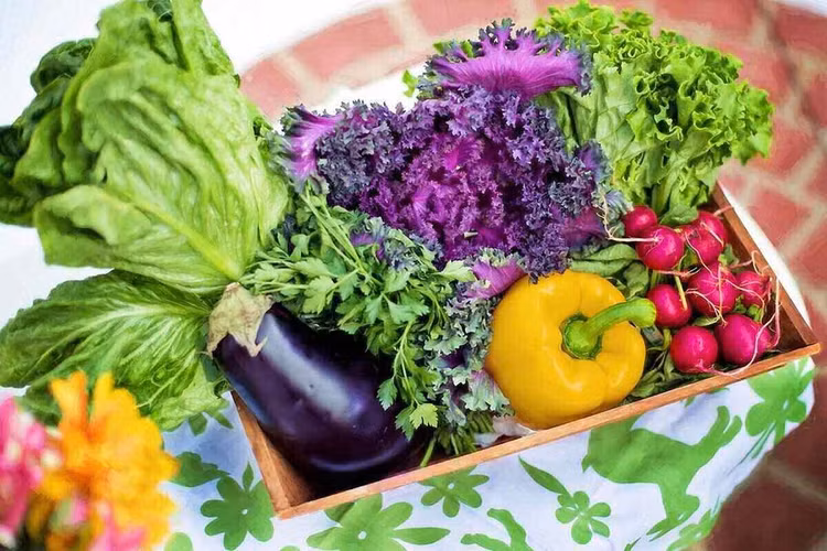 Chế độ ăn nhiều rau có thể làm giảm huyết áp, giảm nguy cơ mắc bệnh tim và đột quỵ, ngăn ngừa một số loại ung thư, giảm nguy cơ mắc các vấn đề về mắt và tiêu hóa. Ảnh: Lawn Love. Chế độ ăn nhiều rau có thể làm giảm huyết áp, giảm nguy cơ mắc bệnh tim và đột quỵ, ngăn ngừa một số loại ung thư, giảm nguy cơ mắc các vấn đề về mắt và tiêu hóa. Ảnh: Lawn Love.