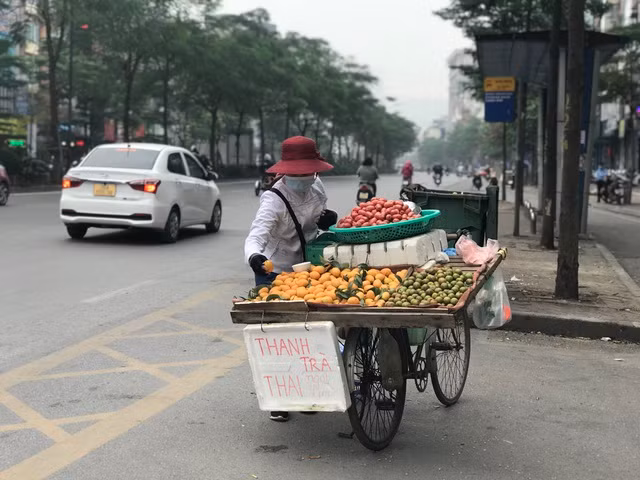 Thanh trà được bày bán nhiều trên các tuyến đường ở Hà Nội như Phạm Ngọc Thạch, Xã Đàn, Đê La Thành... Ảnh: internet.