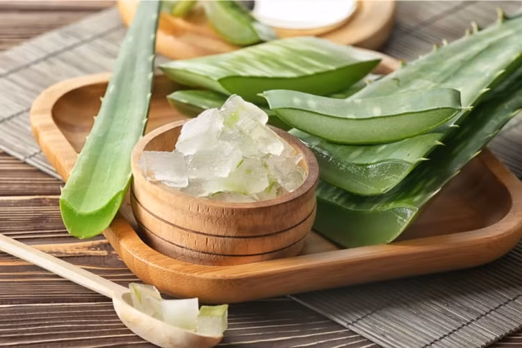 Nha đam mang nhiều lợi ích bất ngờ cho da. Ảnh minh hoạ.