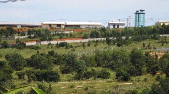 Trang trại chăn nuôi heo của Công ty TNHH Làng Việt Nam xả thải ra môi trường không đúng quy định. Ảnh: Sài Gòn Giải Phóng. Trang trại chăn nuôi heo của Công ty TNHH Làng Việt Nam xả thải ra môi trường không đúng quy định. Ảnh: Sài Gòn Giải Phóng.
