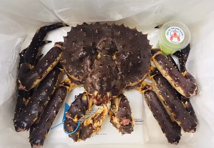 Cua Hoàng đế vào mùa, giá giảm mạnh (Ảnh: Anh Tú) Cua Hoàng đế vào mùa, giá giảm mạnh (Ảnh: Anh Tú)