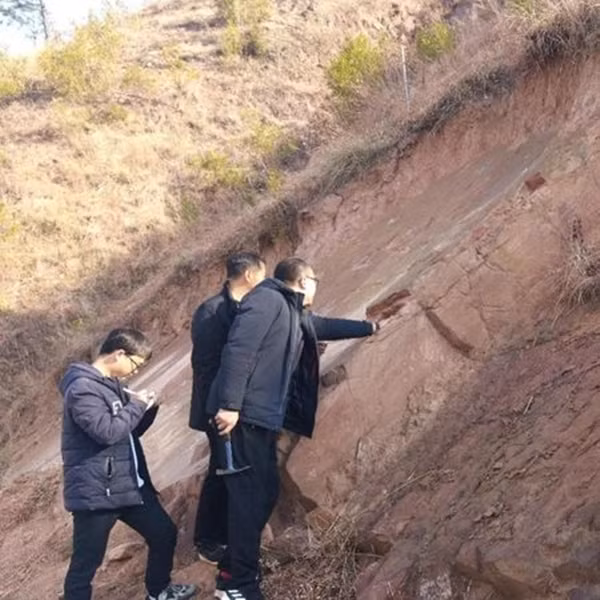 Các nhà nghiên cứu vô cùng phấn khích khi phát hiện những dấu chân khủng long ở Tứ Xuyên. (Ảnh: Sina)
