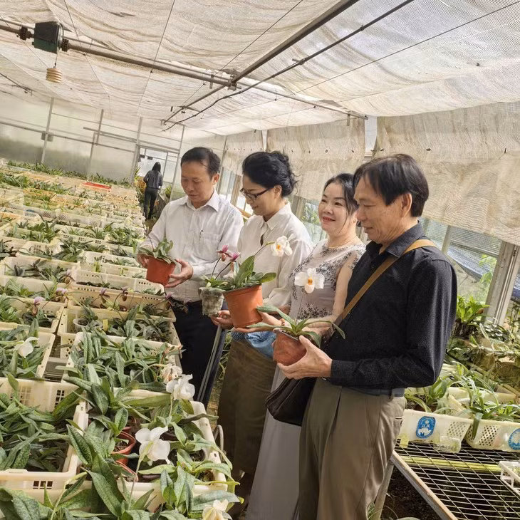 PGS.TS Đặng Văn Đông giới thiệu với đồng nghiệp về giống hoa lan hồ điệp thơm. Ảnh: NVCC.