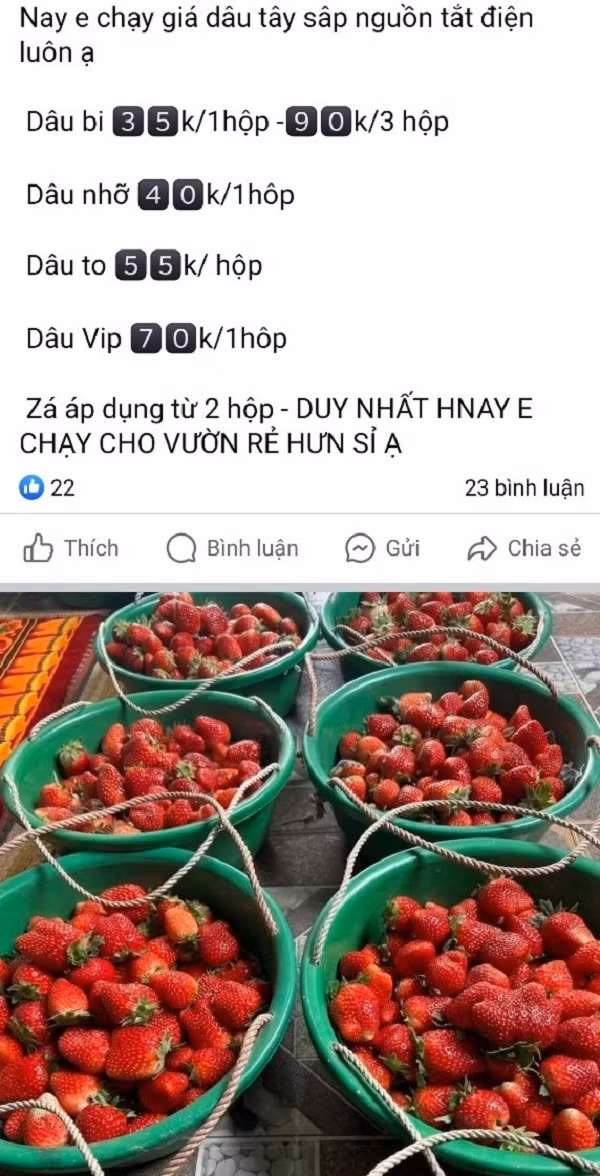 Ảnh 1: Một trang Facebook rao bán dâu tây giá rẻ. Ảnh 1: Một trang Facebook rao bán dâu tây giá rẻ.