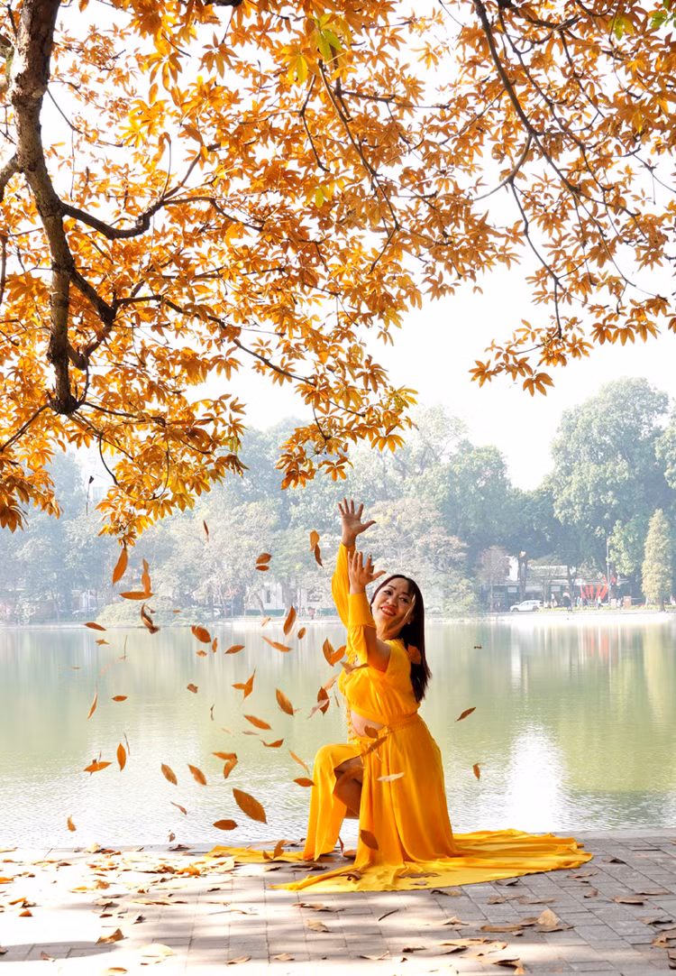 ... nhưng cây mùa thay lá không phải là hiếm gặp với chúng ta...