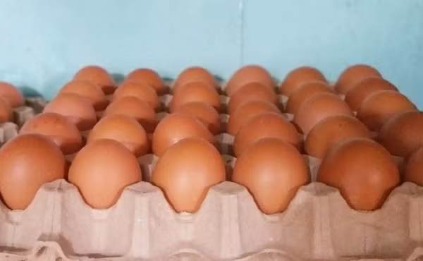 Trứng gà giá chỉ từ 1.500 đồng/quả. Ảnh minh họa