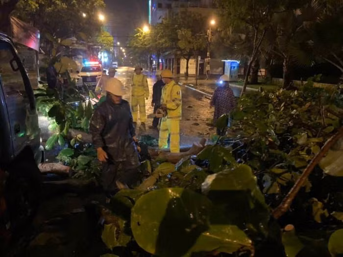 Cây đổ cản trở giao thông, lực lượng chức năng tập trung dọn trong đêm. Cây đổ cản trở giao thông, lực lượng chức năng tập trung dọn trong đêm.
