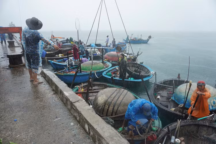 Trước thông tin áp thấp nhiệt đới có thể manh lên thành bão, ảnh hưởng trực tiếp đến Đà Nẵng, hàng trăm ngư dân dọc bờ biển đã chủ động neo buộc thuyền bè. Trước thông tin áp thấp nhiệt đới có thể manh lên thành bão, ảnh hưởng trực tiếp đến Đà Nẵng, hàng trăm ngư dân dọc bờ biển đã chủ động neo buộc thuyền bè.