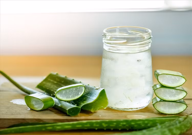 Nước ép từ cây nha đam chứa chất chống viêm và chất chống oxy hóa, giúp giảm viêm khớp - Ảnh minh hoạ