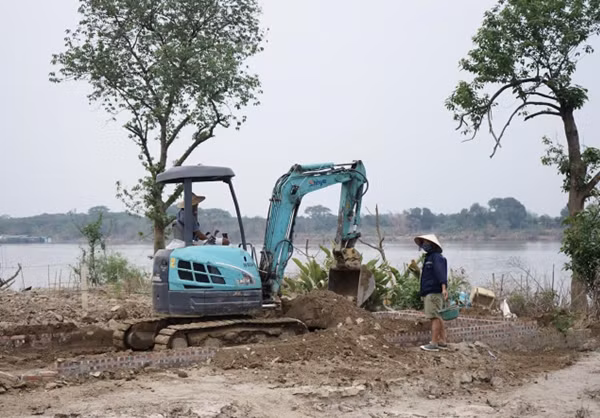 Anh Nguyễn Văn Bề (Phú Thượng, Tây Hồ) chia sẻ, nhà anh cũng mất khoảng 600 gốc đào, giờ đang phải cải tạo lại đất, anh thuê máy xúc với giá 400.000 đồng/h. Anh Nguyễn Văn Bề (Phú Thượng, Tây Hồ) chia sẻ, nhà anh cũng mất khoảng 600 gốc đào, giờ đang phải cải tạo lại đất, anh thuê máy xúc với giá 400.000 đồng/h.