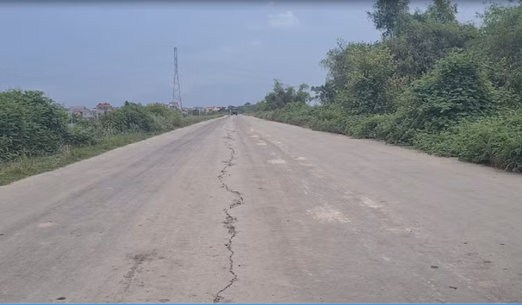 Vì phải “gánh” quá tải trọng, nhiều đoạn đê tả Đuống ở huyện Quế Võ hiện đã bị hư hỏng nghiêm trọng.
