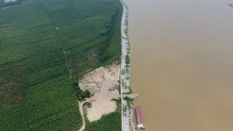 Bãi tập kết cát "mọc" giữa cánh đồng chuối ở xã Cách Bi, huyện Quế Võ ngang nhiên hoạt động.
