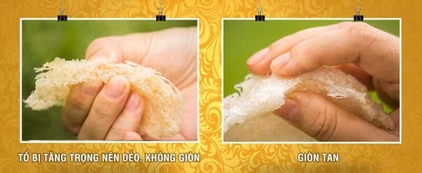 Cách phân biệt tổ yến thật và giả bằng tay. Cách phân biệt tổ yến thật và giả bằng tay.