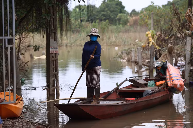 Là tiểu thương tại chợ Long Biên, chị Hoài phải mua thuyền máy để hàng ngày vận chuyển gà ra xóm bãi giữa sông Hồng giết mổ, rồi đưa vào cung cấp cho các chợ, nhà hàng tại nội đô. Mỗi chuyến thuyền này, chị Hoài cũng tranh thủ mua thêm thực phẩm ở phố mang ra bãi giữa phục vụ bà con. Là tiểu thương tại chợ Long Biên, chị Hoài phải mua thuyền máy để hàng ngày vận chuyển gà ra xóm bãi giữa sông Hồng giết mổ, rồi đưa vào cung cấp cho các chợ, nhà hàng tại nội đô. Mỗi chuyến thuyền này, chị Hoài cũng tranh thủ mua thêm thực phẩm ở phố mang ra bãi giữa phục vụ bà con.