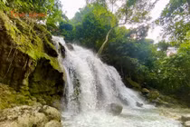 Thảo nguyên Đồng Lâm: Bản giao hưởng của thiên nhiên