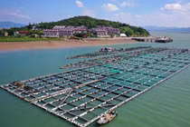 Các tỉnh miền Đông Trung Quốc chuẩn bị ứng phó với bão Dolphin