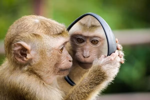 Năm 2025 Trời ban đại hỷ, 3 tuổi phúc khí ngập nhà, giàu to - Hình 4 Nam 2025 Troi ban dai hy, 3 tuoi phuc khi ngap nha, giau to-Hinh-4