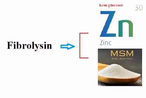 Fibrolysin có thành phần là lưu huỳnh và kẽm hữu cơ giúp đảo ngược quá trình tái cấu trúc và xơ hóa đường thở.