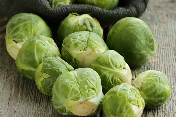 Ăn bắp cải Brussel rất hiệu quả trong việc giữ ấm cơ thể vào mùa đông. Ảnh minh họa