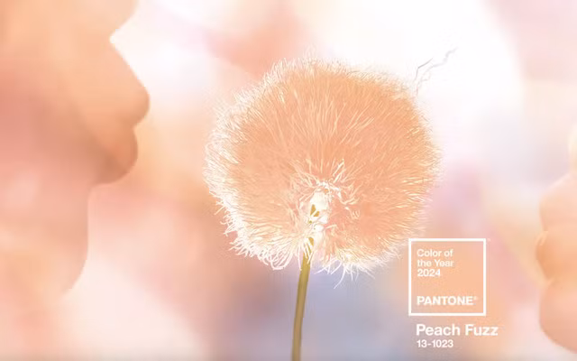 Sắc Peach Fuzz (cam đào) màu xu hướng của năm 2024. Ảnh VTV News Sắc Peach Fuzz (cam đào) màu xu hướng của năm 2024. Ảnh VTV News