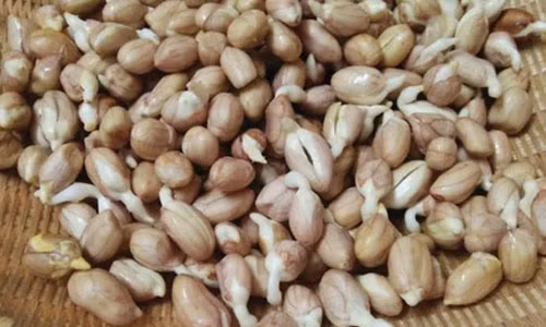 Ảnh minh họa Ảnh minh họa