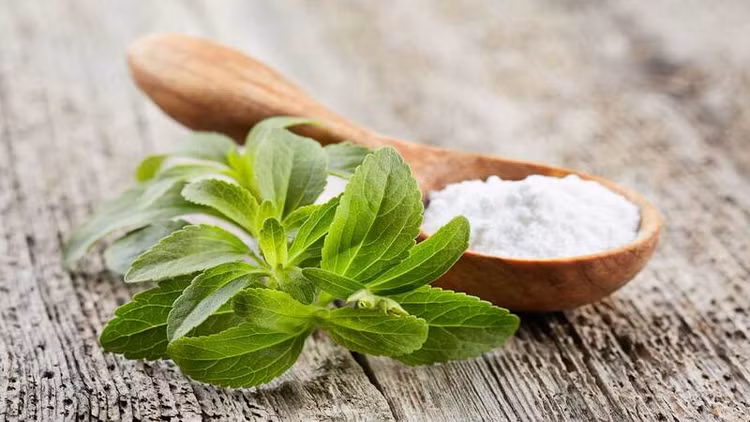 Cỏ ngọt đem lại rất nhiều lợi ích đối với sức khỏe - Ảnh minh hoạ