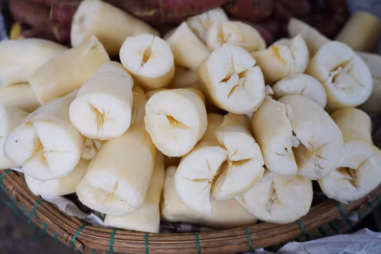 Loại củ trắng ngần, dẻo thơm giúp tăng cường hệ thống miễn dịch. Ảnh minh họa
