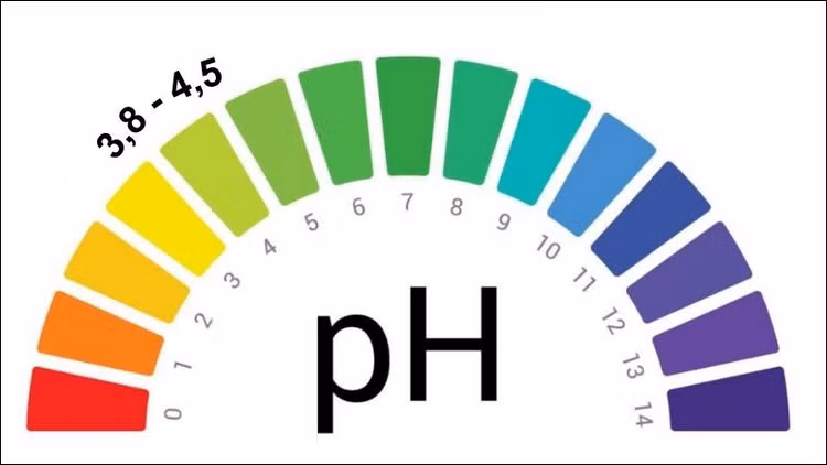 pH tự nhiên của âm đạo duy trì từ 3,8 đến 4,5. pH tự nhiên của âm đạo duy trì từ 3,8 đến 4,5.