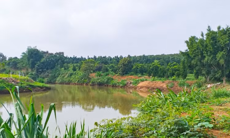 Sông Đại Nga, nơi xảy ra vụ đuối nước khiến 1 em học sinh tử vong.