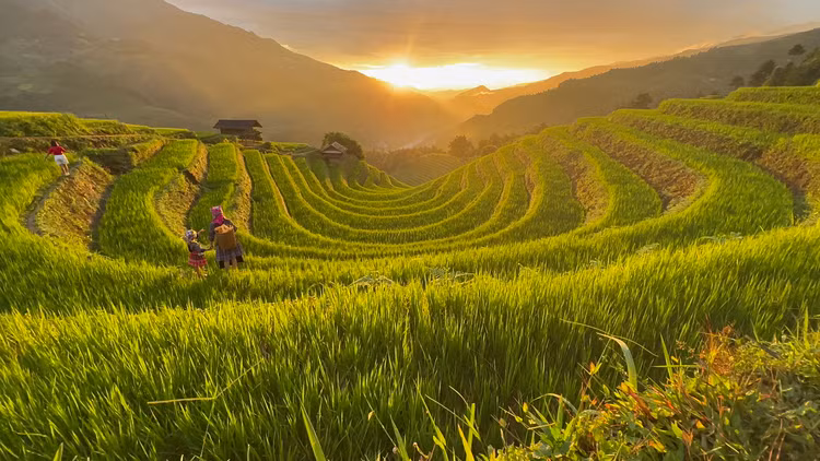 Nằm dưới chân dãy Hoàng Liên Sơn hùng vĩ, ruộng bậc thang Mù Cang Chải là di sản văn hóa do người dân tộc địa phương qua nhiều thế hệ tạo nên. Năm 2007, ruộng bậc thang ở 3 xã La Pán Tẩn, Dế Xu Phình, Chế Cu Nha được Nhà nước công nhận Danh thắng quốc gia và nằm trong top 10 ruộng bậc thang đẹp nhất thế giới. Nằm dưới chân dãy Hoàng Liên Sơn hùng vĩ, ruộng bậc thang Mù Cang Chải là di sản văn hóa do người dân tộc địa phương qua nhiều thế hệ tạo nên. Năm 2007, ruộng bậc thang ở 3 xã La Pán Tẩn, Dế Xu Phình, Chế Cu Nha được Nhà nước công nhận Danh thắng quốc gia và nằm trong top 10 ruộng bậc thang đẹp nhất thế giới.